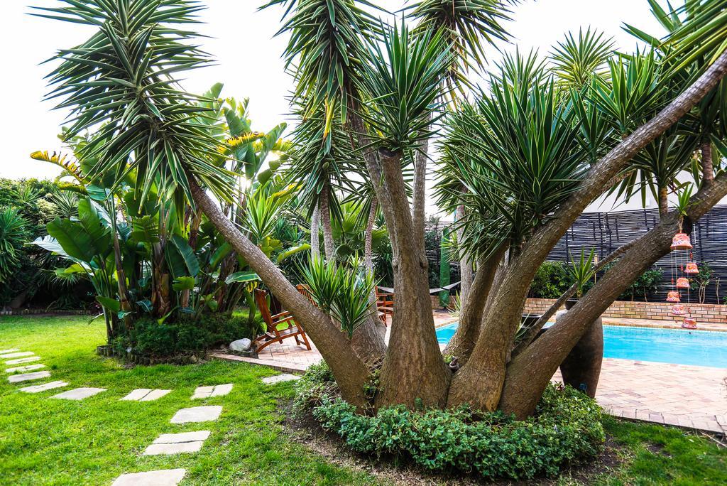 Secret Garden Guesthouse Bloubergstrand Eksteriør bilde